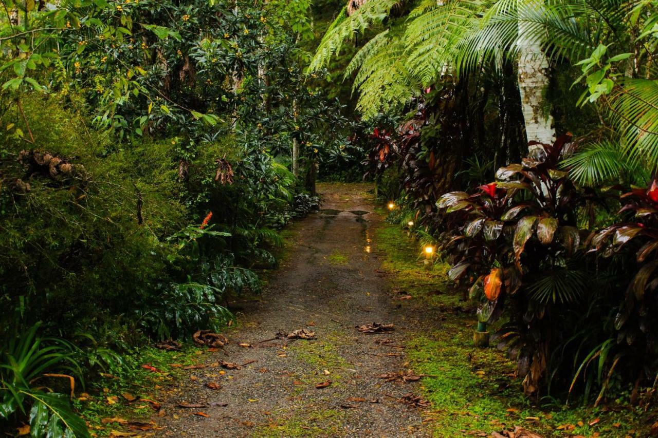Quarto Varanda - Residencia Gaia Itatiaia Итатиая Екстериор снимка